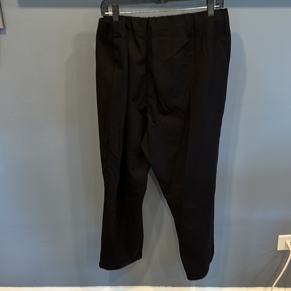 Eileen Fisher Pull On Pants Elastic Waist Women's 3X - Picture 2 of 3